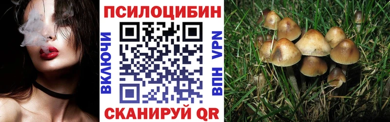 Псилоцибиновые грибы ЛСД Северская