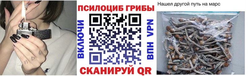 дарк нет официальный сайт  блэк спрут ссылка  Северская  Галлюциногенные грибы Psilocybine cubensis 